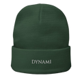 Dynami Beanie Green